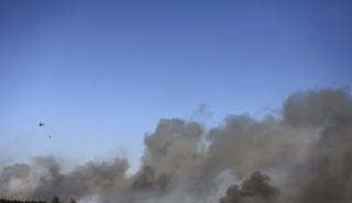 Πορτογαλία: Υπό έλεγχο τέθηκε η πυρκαγιά στον εθνικό δρυμό Σέρα ντα Εστρέλα