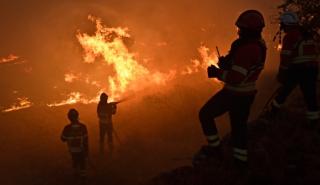Τριπλό πύρινο μέτωπο στο Κιλκίς: Στις φλόγες και το Πευκοδάσος - Το μήνυμα Κικίλια