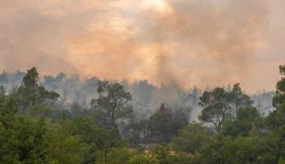 Η επόμενη ημέρα στο Εθνικό Πάρκο Δαδιάς