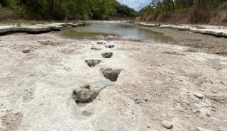 Η ξηρασία αποκάλυψε ίχνη δεινοσαύρων στην κοίτη ποταμού στο Τέξας