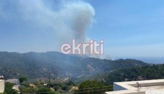 Ηράκλειο: Φωτιά στη Βιάννο