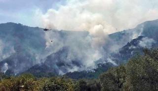 Ρόδος: Πυρκαγιά σε δασική περιοχή - Ισχυροί άνεμοι στο σημείο