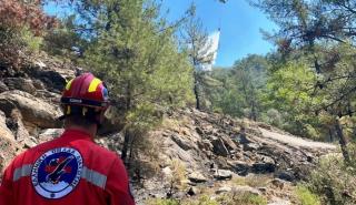 Υπό πλήρη έλεγχο η φωτιά στη Θάσο