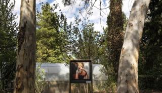 Sheltered Gardens: Η πρωτότυπη υβριδική έκθεση του PCAI άνοιξε για το κοινό και παρατείνεται μέχρι τις 09/10