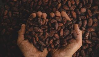 Βραζιλία: Προς επίπεδα ρεκόρ η παραγωγή καφέ το 2024 λόγω... κλιματικής κρίσης