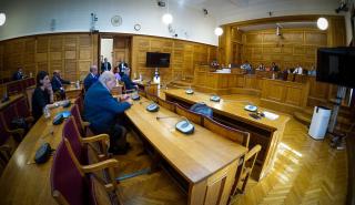 Εξεταστική Επιτροπή: Καταθέτει η επικεφαλής της ΕΑΔ, Αλεξάνδρα Ρογκάκου