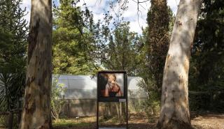 Sheltered Gardens: Η υβριδική έκθεση του PCAI σε συνεργασία με τον Βοτανικό Κήπο άνοιξε για το κοινό και παρατείνεται