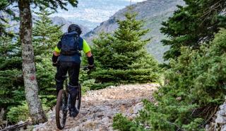 Απελευθέρωση Χρυσαετού στην Πάρνηθα