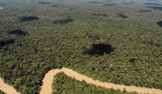 Κολομβία: Στο χαμηλότερο επίπεδο των τελευταίων 10 ετών η αποψίλωση των δασών