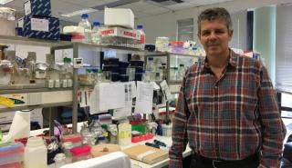 Ηράκλειο: Έρευνα για βιοεντομοκτόνα με φυσικό «οπλοστάσιο», κατά του δάκου και των κουνουπιών