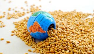 Ρεκόρ για τις εισαγωγές τροφίμων, στα 1,94 τρισ. δολάρια το 2022 - Προειδοποιήσεις από τον ΟΗΕ