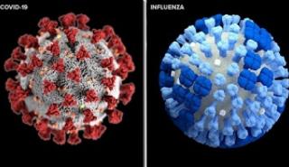 Εποχικές ιώσεις: Γρίπη, RSV ή COVID-19; - Πώς τίθεται η διάγνωση