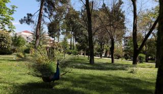 Παυσίλυπο: Αναβαθμίζεται ο πνεύμονας της Καρδίτσας