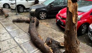 Πυροσβεστική: Πάνω από 200 κλήσεις σε όλη την Ελλάδα λόγω της κακοκαιρίας