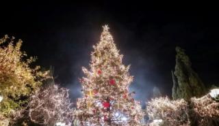 Δήμος Αθηναίων: Την Πέμπτη 23 Νοεμβρίου ανάβει το Χριστουγεννιάτικο Δέντρο στο Σύνταγμα