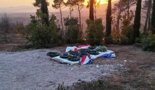 Ο τελευταίος Βασιλιάς στο Τατόι - Τι έκαναν οι Πολιτικοί Αρχηγοί την ημέρα της κηδείας - Τα παπούτσια του Σκέρτσου