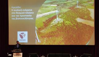 Το μήνυμα της ΕΛΕΤΑΕΝ: Η αιολική ενέργεια προστατεύει τη βιοποικιλότητα