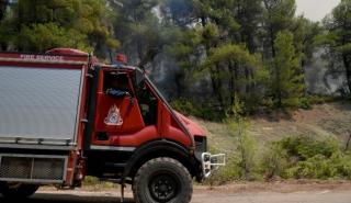 Πυρκαγιά σε αγροτοδασική έκταση στον Πισσώνα Ευβοίας - Υπό μερικό έλεγχο