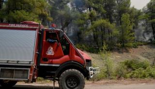 Υπό μερικό έλεγχο η φωτιά στα Σπάτα - Επιχειρούν εναέρια μέσα