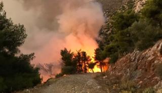 Κιλκίς: Συνεχίζει να καίει η πυρκαγιά στο Πευκόδασος
