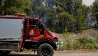 Πύργος: Πυρκαγιά σε εξέλιξη στην περιοχή Σχίνοι της Ζαχάρως