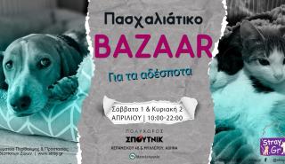 Πάσχα και Παγκόσμια Ημέρα Αδέσποτων Ζώων; Ευκαιρία για στήριξη στο stray.gr