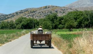 Μπαμπασίδης (ΟΠΕΚΕΠΕ): Μη υπαρκτή η πληρωμή 14 εκατ. ευρώ σε παραγωγό