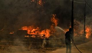 Κυρίζογλου (ΚΕΔΕ): Οι φωτιές δεν ξεκίνησαν από περιοχές ευθύνης των δήμων