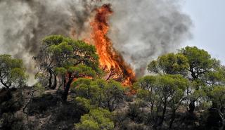 Ρόδος: Εκκενώνεται το χωριό Απόλλωνα - Εκτός ελέγχου οι φλόγες