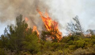 Εκκενώνονται περιοχές σε Μαγνησία και Λαμία - Πύρινος εφιάλτης σε Ρόδο και Κέρκυρα