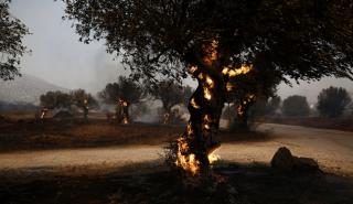 Φωτιά στα Δερβενοχώρια: Ποιοι δρόμοι έχουν κλείσει