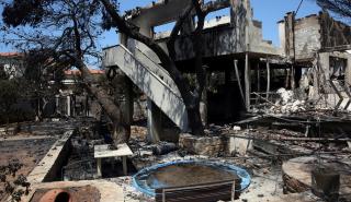 ΕΑΕΕ: 235 οι ζημιές από τις πυρκαγιές