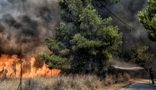 Συναγερμός στην Πυροσβεστική και για αύριο - Πού υπάρχει κίνδυνος πυρκαγιάς