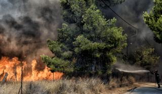 Πολύ υψηλός ο κίνδυνος πυρκαγιών και για το Σάββατο