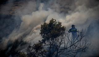 Αλιβέρι: Οριοθετήθηκε η πυρκαγιά - Συνελήφθη ηλικιωμένος