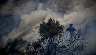 Πολύ υψηλός κίνδυνος πυρκαγιάς αύριο σε Αττική, Κρήτη, Εύβοια και νησιά