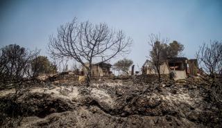 Πυρκαγιές: Στον Έβρο μεταβαίνει κυβερνητικό κλιμάκιο