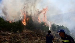 Ιεράπετρα: Ανεξέλεγκτη μεγάλη φωτιά στα Σχινοκάψαλα - Μήνυμα εκκένωσης απ' το 112