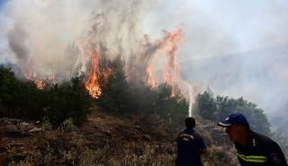 Ιεράπετρα: Ανεξέλεγκτη μεγάλη φωτιά στα Σχινοκάψαλα - Μήνυμα εκκένωσης απ' το 112