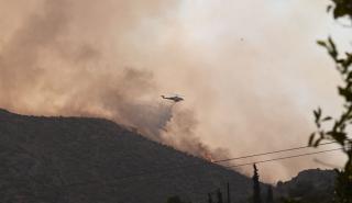 Συνεχίζεται η μάχη των πυροσβεστικών δυνάμεων στην πυρκαγιά στον Έβρο