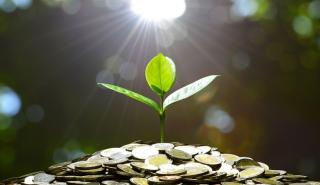 Πώς τα πράσινα δάνεια ωφελούν τις μικρομεσαίες επιχειρήσεις
