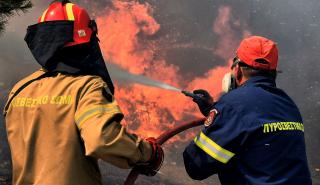 Πυρκαγιά σε δασική έκταση στη Λακωνία