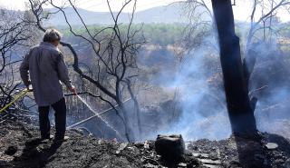 Με 30 εκατ. ενισχύεται η πυροπροστασία κατοικημένων περιοχών σε Δήμους με περιαστικά δάση