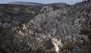 Η συνδρομή των Ενόπλων Δυνάμεων στα μέτωπα των πυρκαγιών