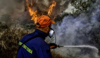 Πυροσβεστική: 56 αγροτοδασικές πυρκαγιές το τελευταίο εικοσιτετράωρο