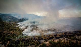 Ακόμα και φυλακή για τους κατά λάθος εμπρηστές