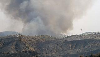 Ρόδος: Ενημέρωση για την πυρκαγιά ζήτησε η αντεισαγγελέας Εφετών Δωδεκανήσου