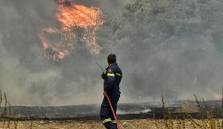 Copernicus για Ελλάδα: Σε υψηλό 21 ετών οι εκπομπές αερίων από τις φωτιές