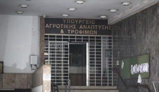 ΥπΑΑΤ: Προληπτικοί έλεγχοι για γρίπη πουλερικών - Πώς προχωρά η ευλογιά των προβάτων