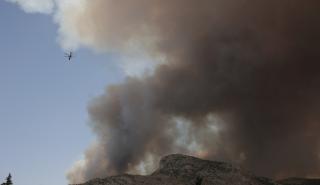Meteo για φωτιά στη Φυλή: Δύσκολες οι συνθήκες τις επόμενες ώρες